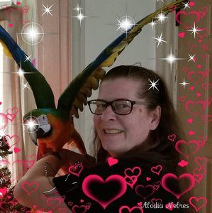 Meet your Posher, Tara